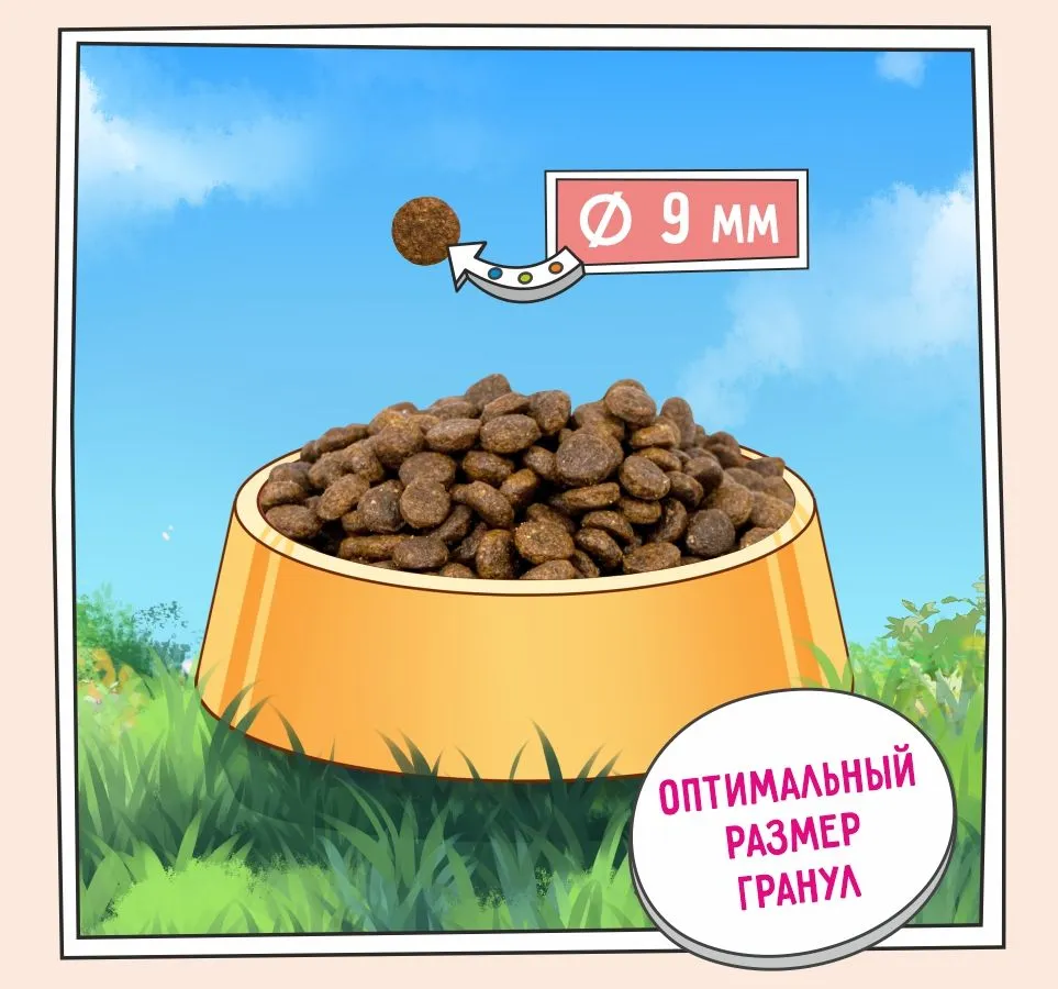 ZILLII Sensitive Digestion Cat (Белая рыба)