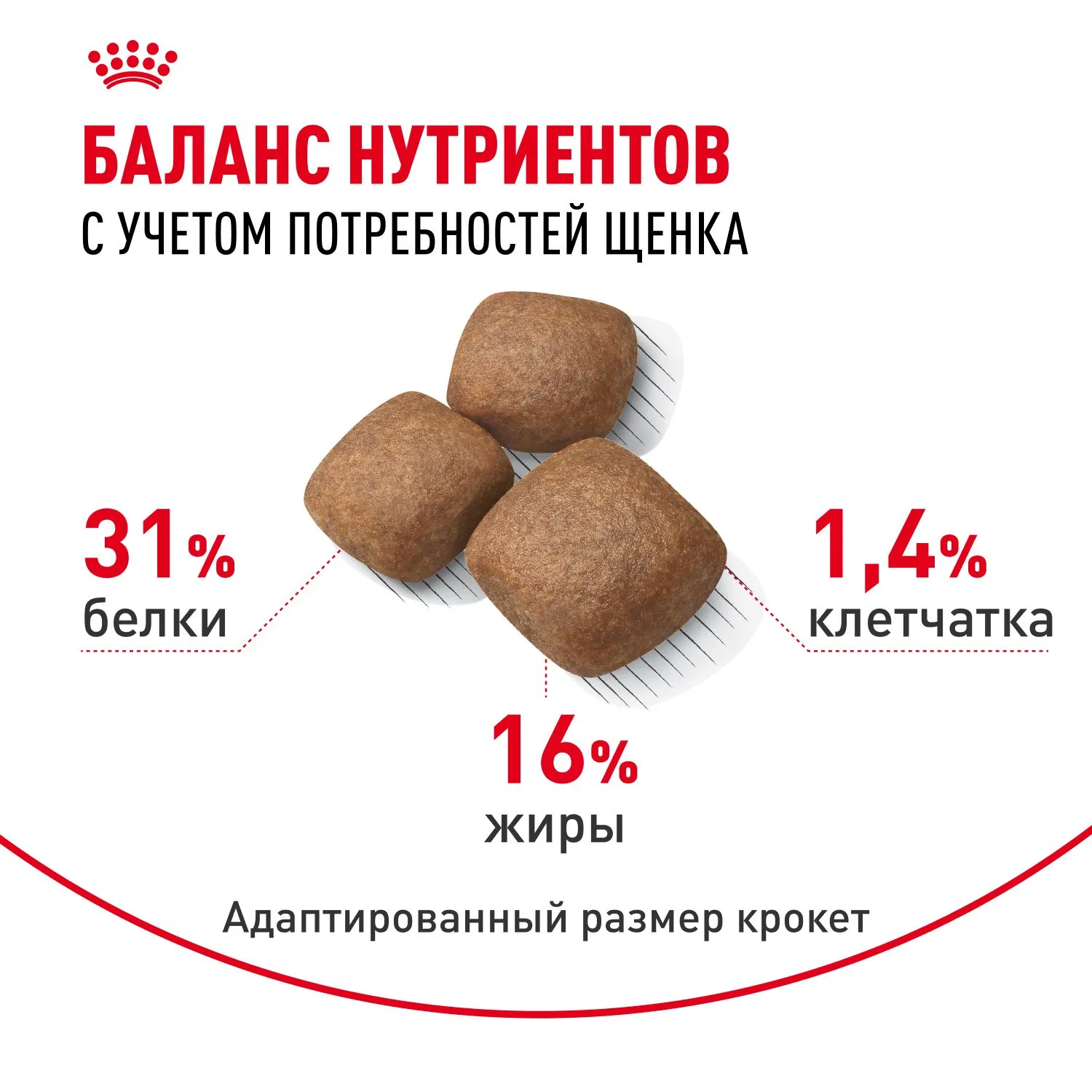 Royal Canin Giant Junior