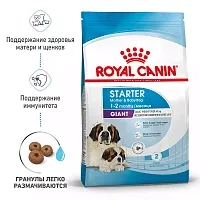 Royal Canin Giant Starter
