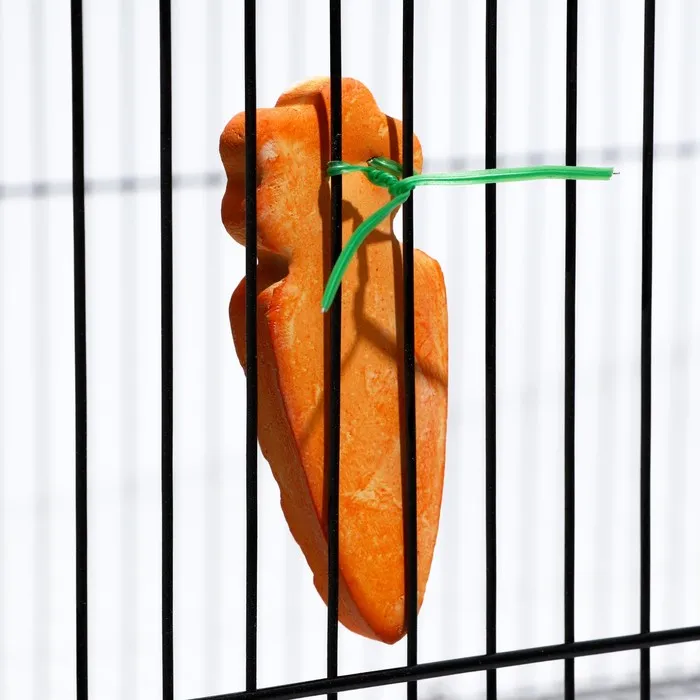 Пижон Минеральный камень для грызунов морковка