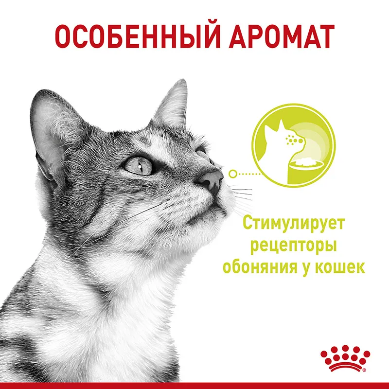 Royal Canin Sensory Smell (соус)
