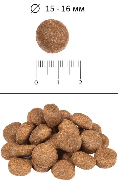 BLITZ Classic Adult Large & Giant (Курица, рис)