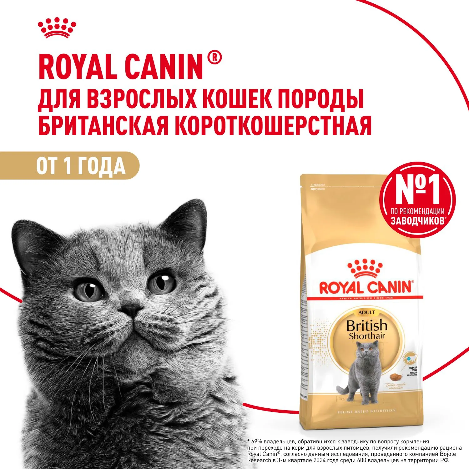 Корм Royal Canin British Shorthair Adult для кошек