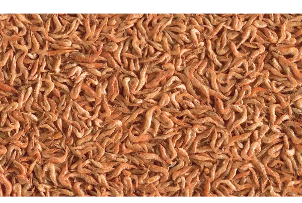 Tetra ReptoDelica Shrimps