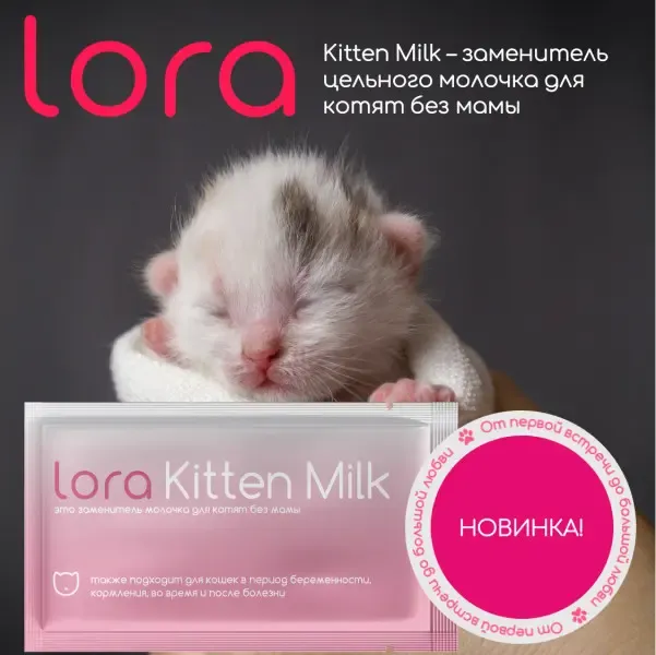 Lora Kitten Milk