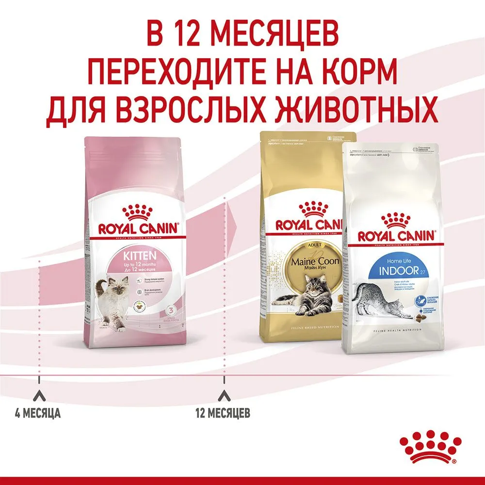 Корм Royal Canin Kitten для котят