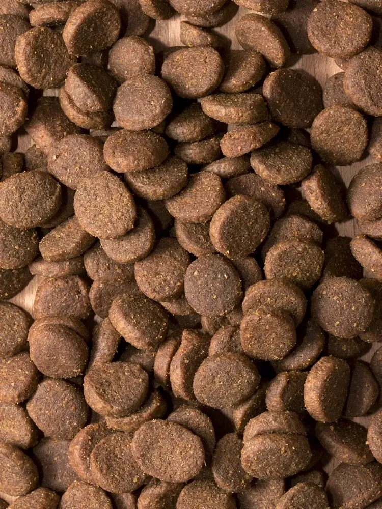 ProBalance Dog Delicate Digestion