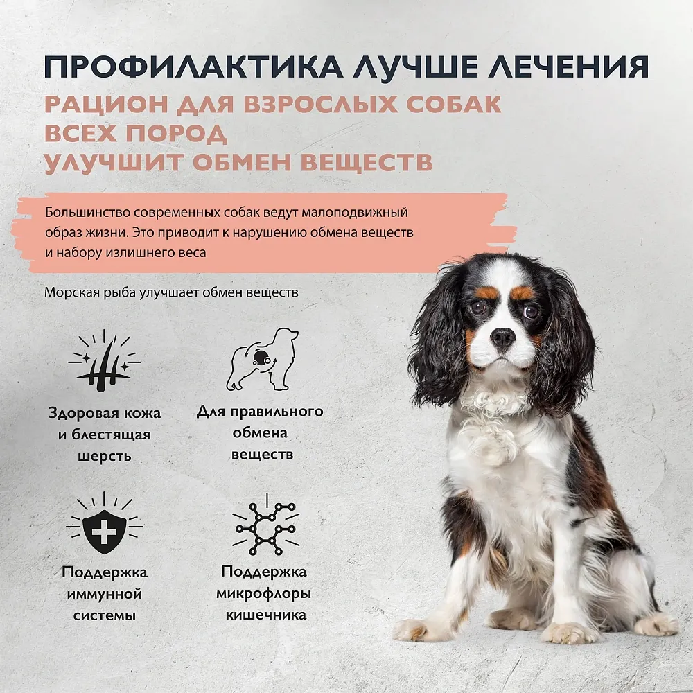 Корм Brit Care Dog Adult Sensitive Metabolic (Рыба, Индейка) для собак