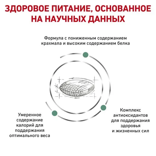 Royal Canin Diabetic Dog