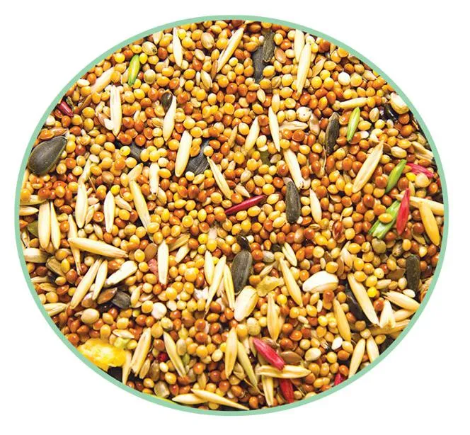 Triol Original Корм для канареек