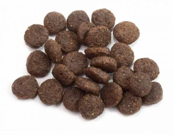 Happy Dog Medium Adult