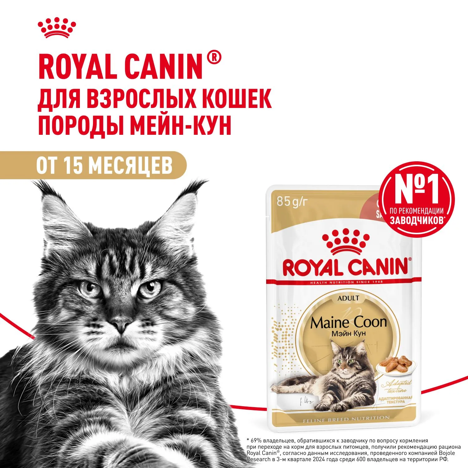 Royal Canin Maine Coon Adult (соус)