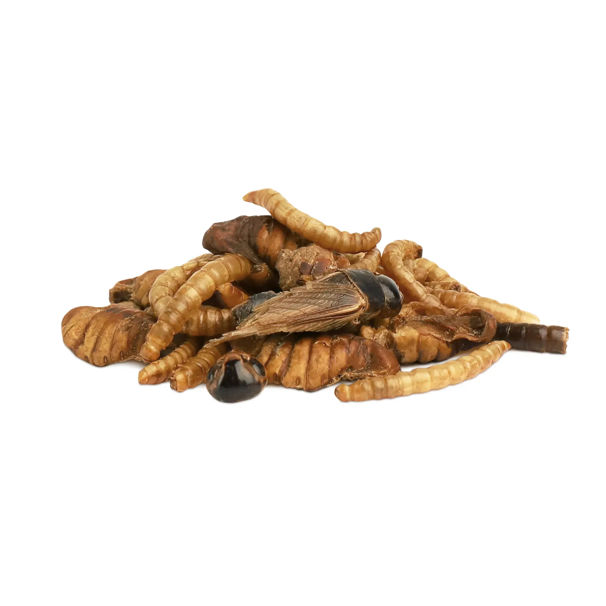 Little One Смесь насекомых, 75 г