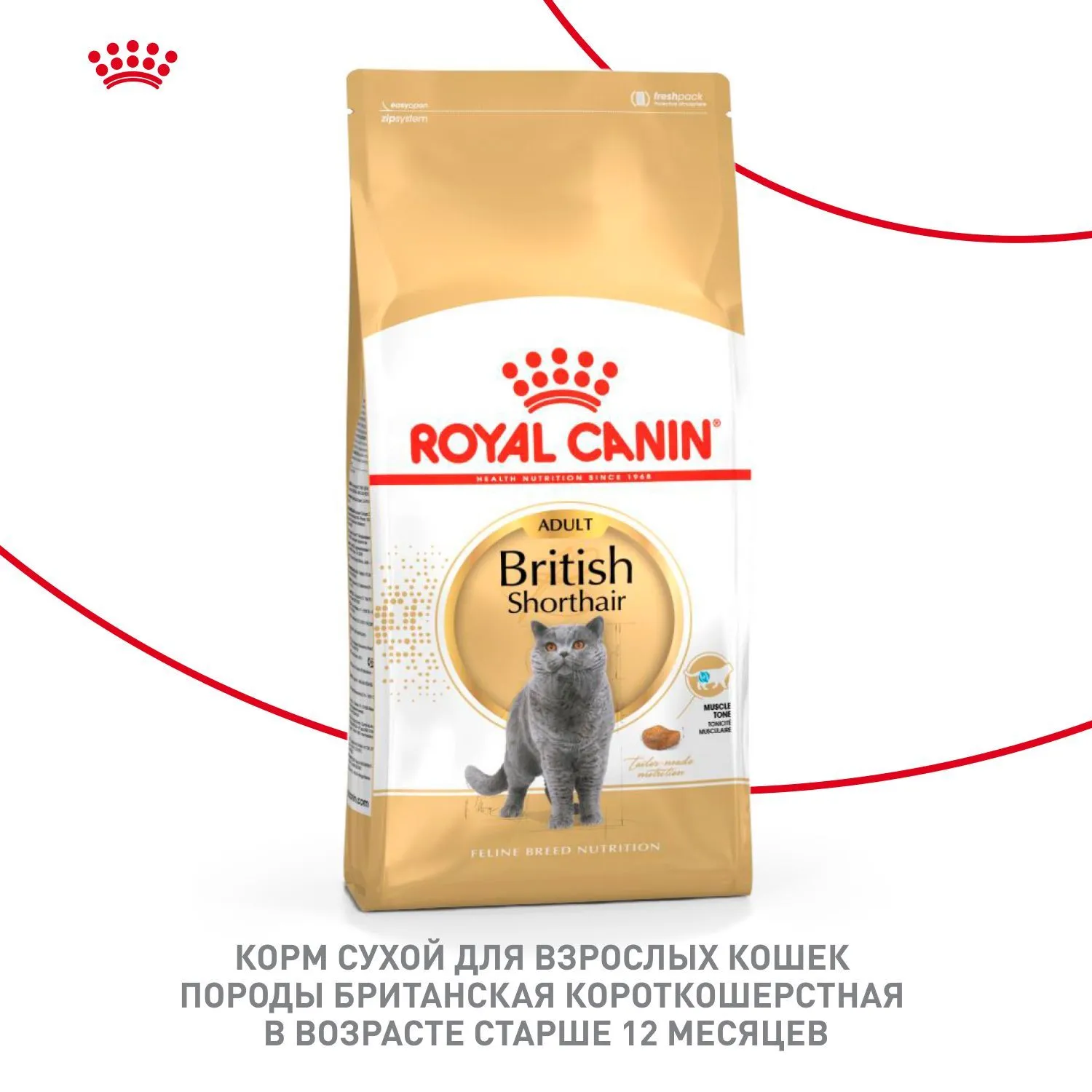 Корм Royal Canin British Shorthair Adult для кошек