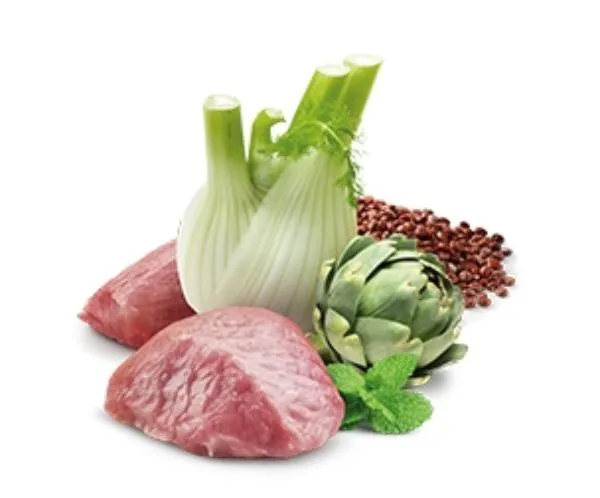 Консервы Farmina N&D Quinoa Digestion Dog Adult Mini