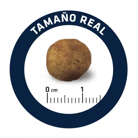 Advance Dog VetDiet Articular Reduced Calorie