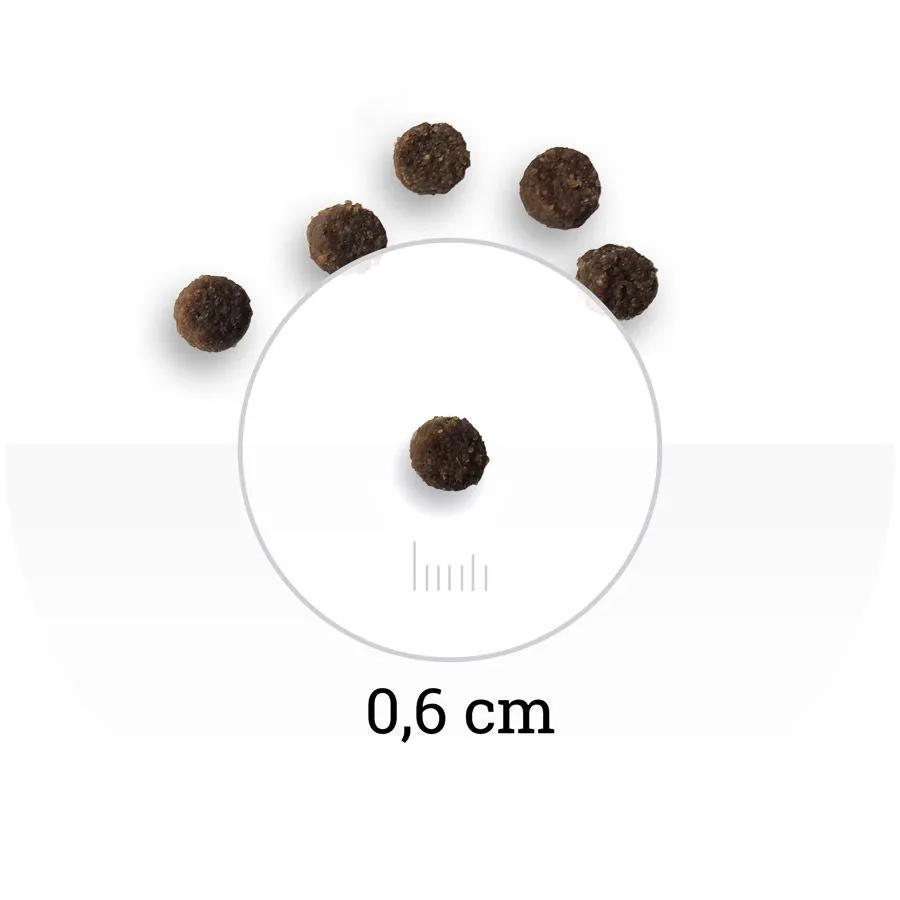 Bon Appetit Kitten (Курица, рис)