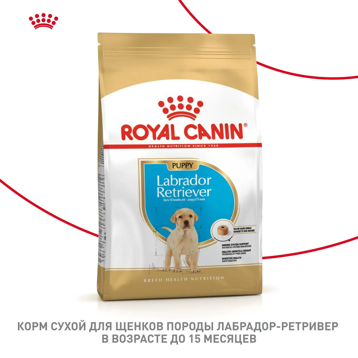 Royal Canin Labrador Retriever Puppy