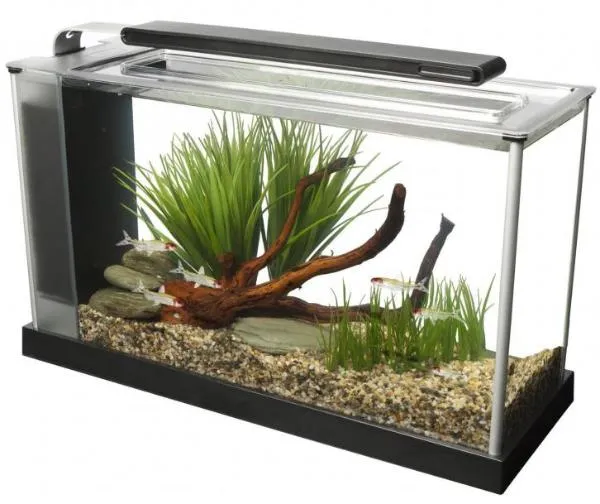 Fluval Аквариум "SPEC V", 19 л