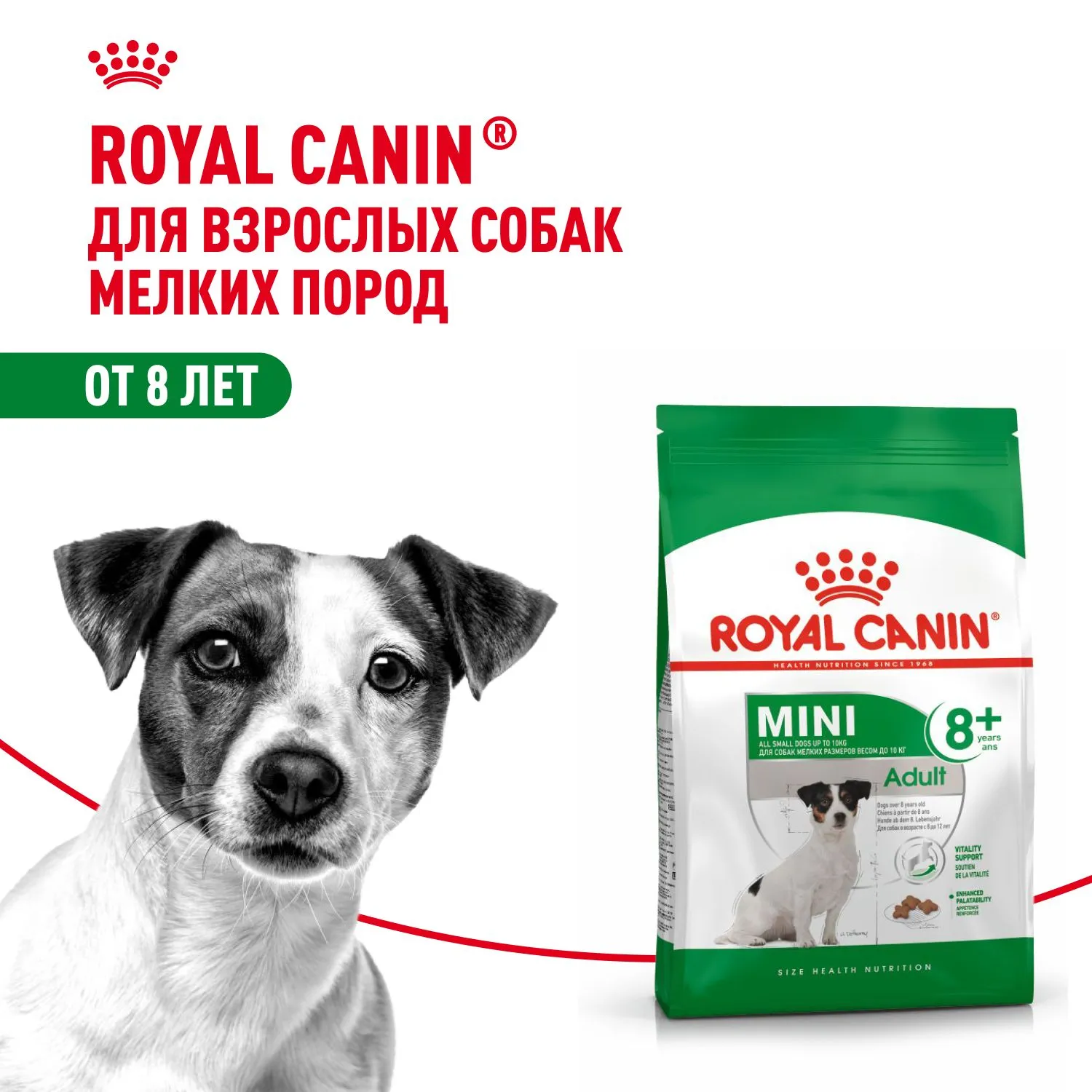 Корм Royal Canin Mini Adult 8+ для собак мелких пород от 8 лет и старше