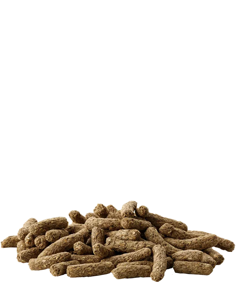 Versele Laga Корм Cavia Complete