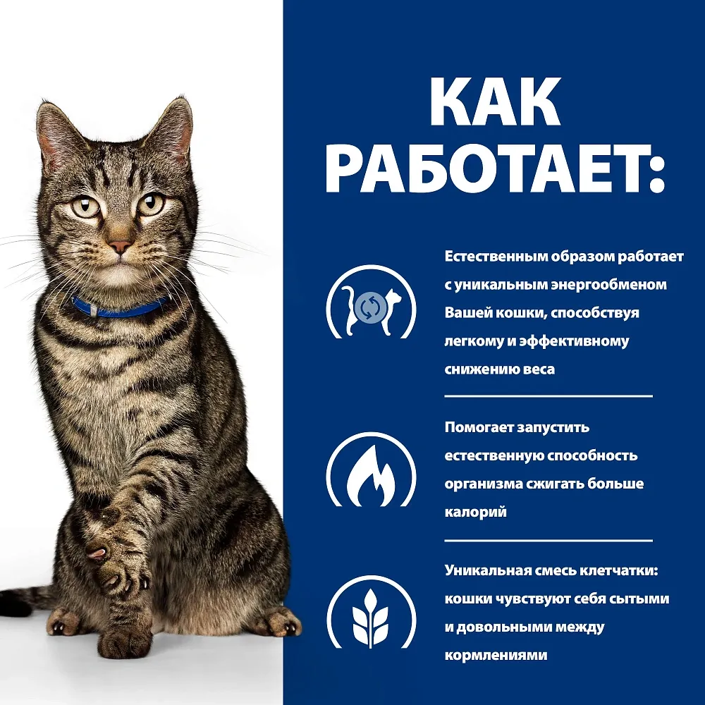 Hill's Prescription Diet Metabolic Влажный корм для кошек (Океаническая рыба)