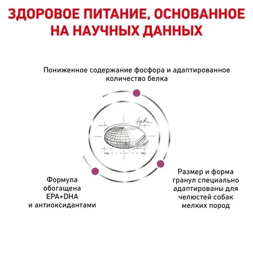 Royal Canin Renal Small Dog