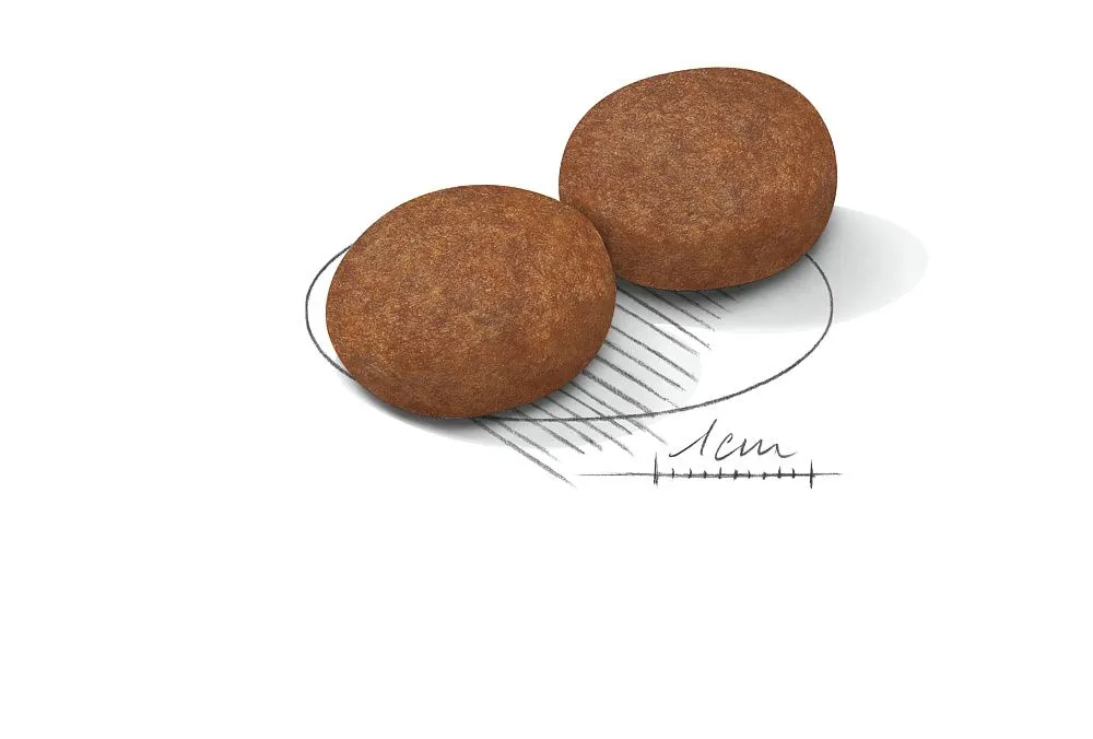 Корм Royal Canin Medium Adult 7+ для собак средних размеров от 7 лет и старше