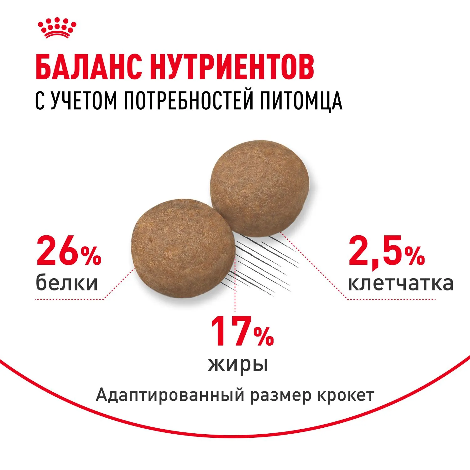 Корм Royal Canin Maxi Adult 5+ для собак