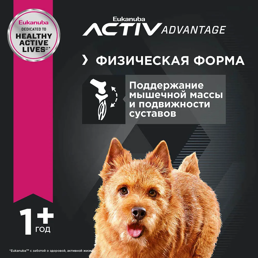 Eukanuba Adult Small Breed (Птица)