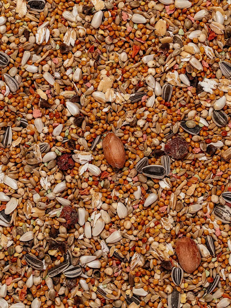 MIKIMEALS Корм для средних попугаев