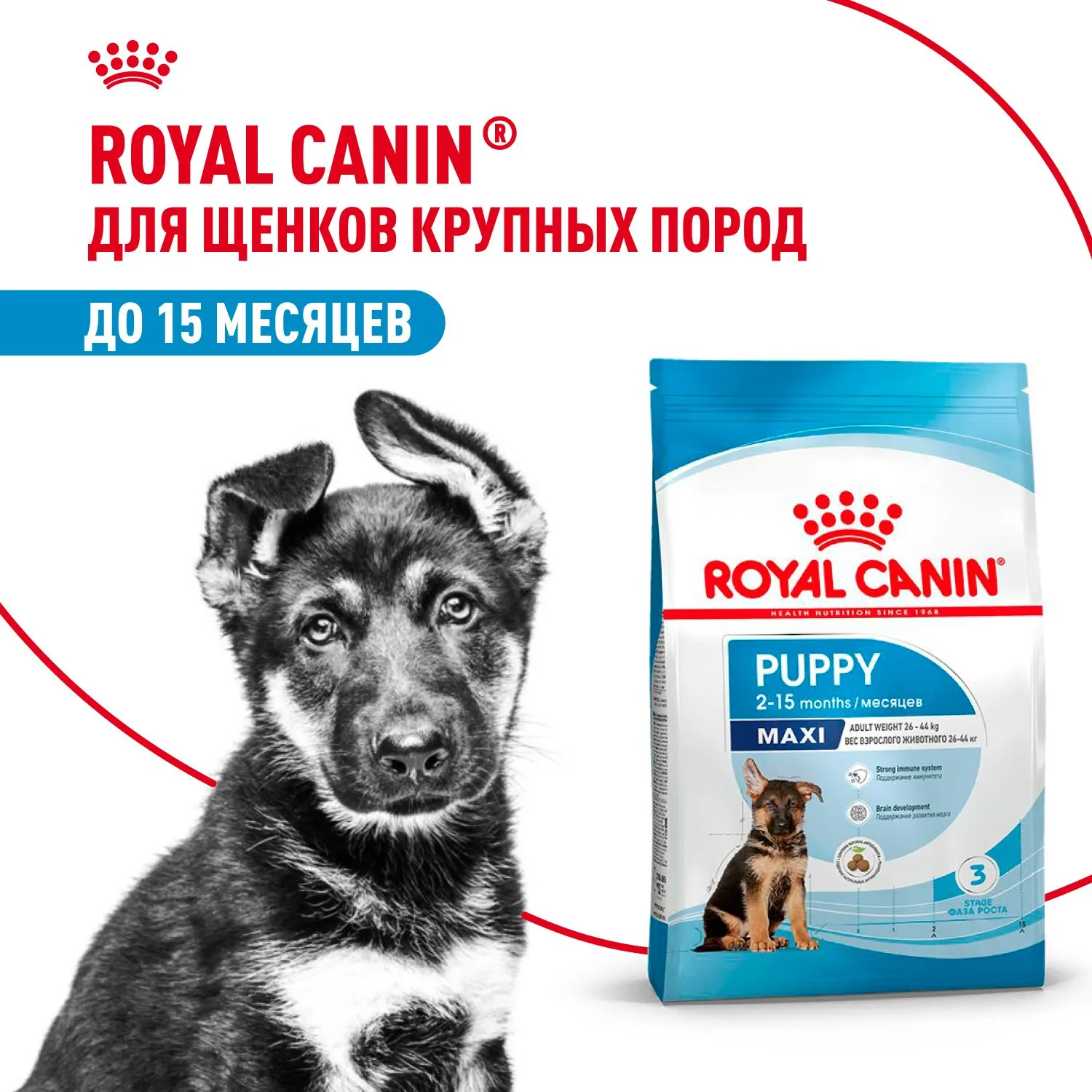 Корм Royal Canin Maxi Puppy для щенков крупных размеров до 15 месяцев