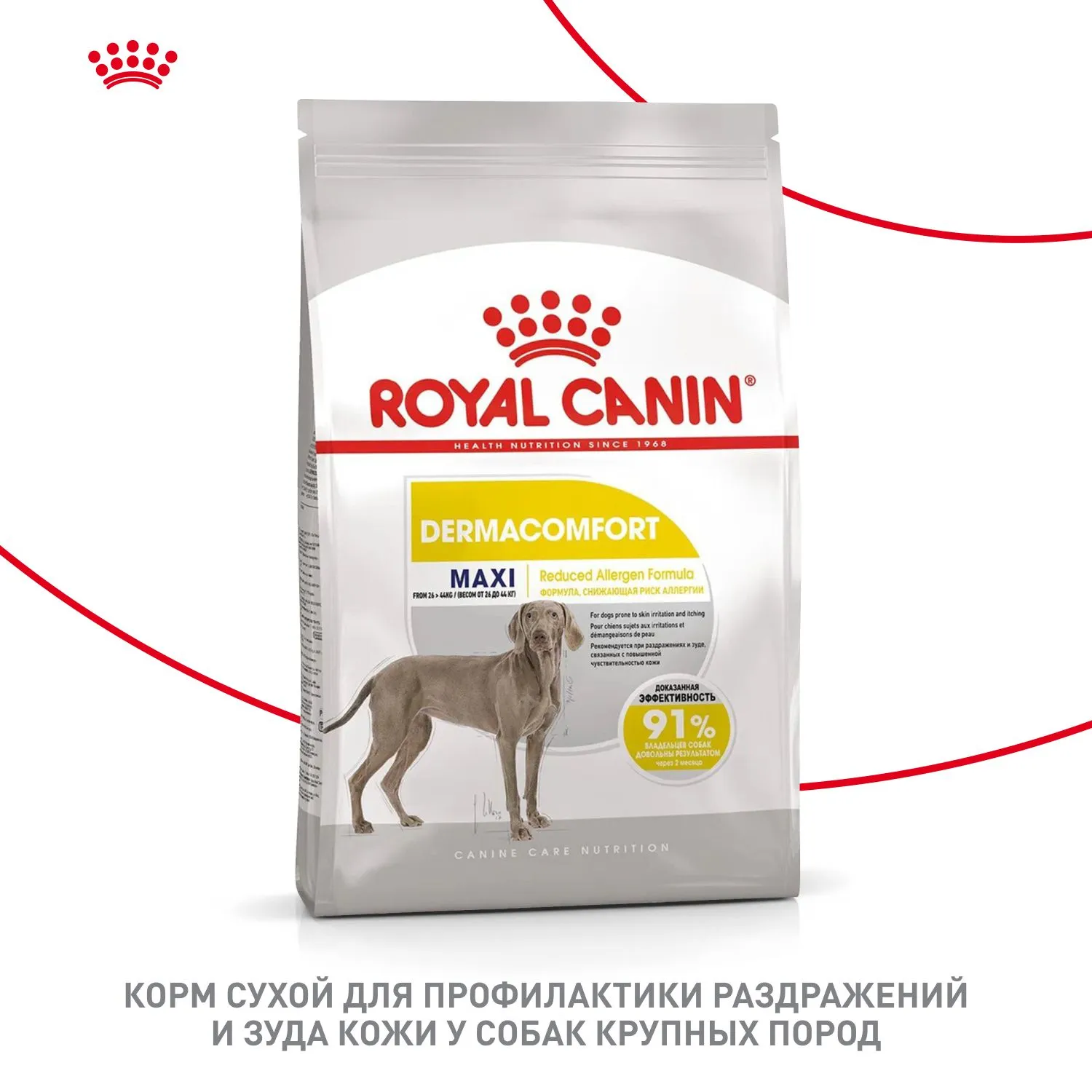 Корм Royal Canin Maxi Dermacomfort для собак