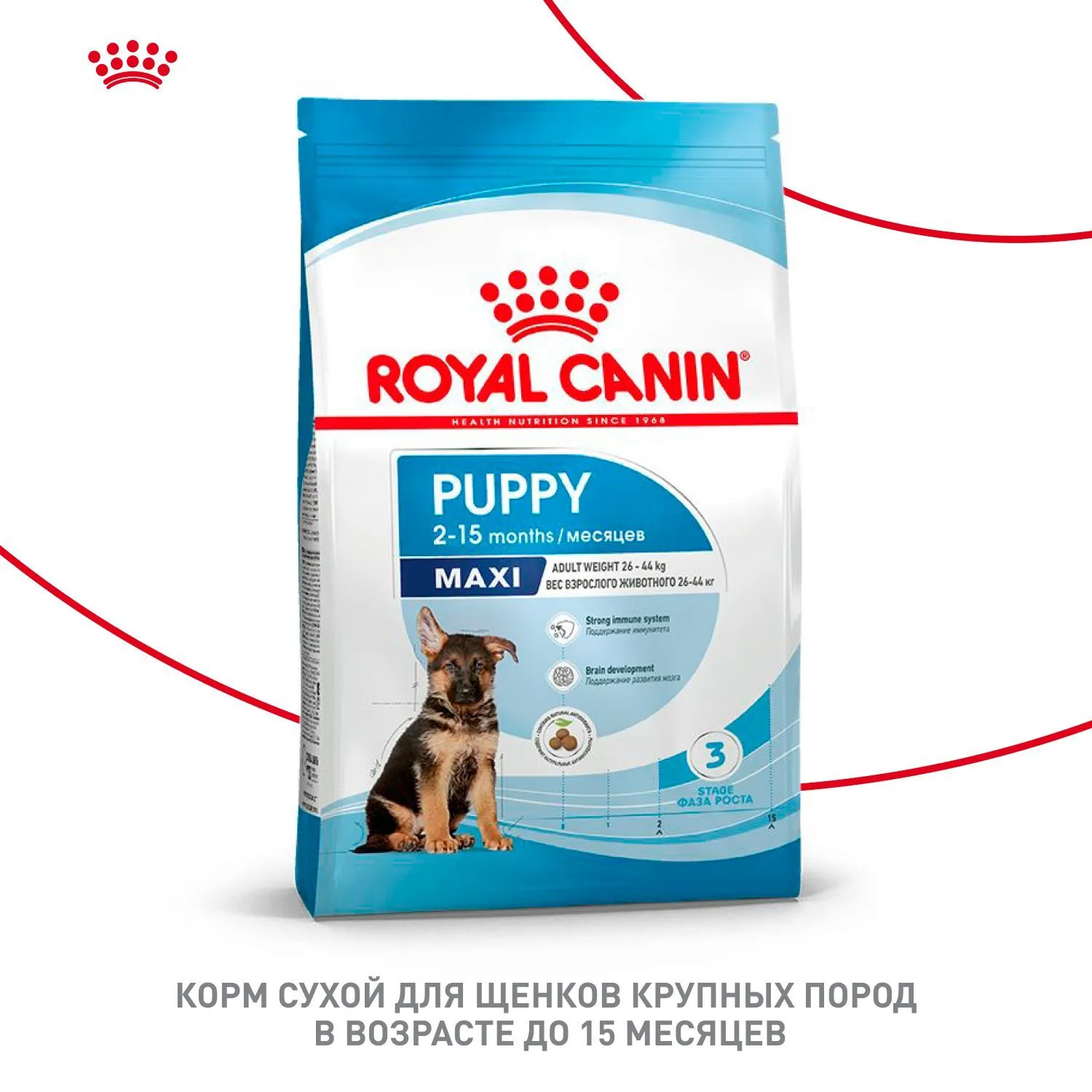 Корм Royal Canin Maxi Puppy для щенков крупных размеров до 15 месяцев
