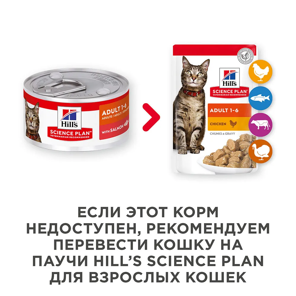 Hill's Science Plan Влажный корм для кошек для поддержания жизненной энергии и иммунитета (лосось)