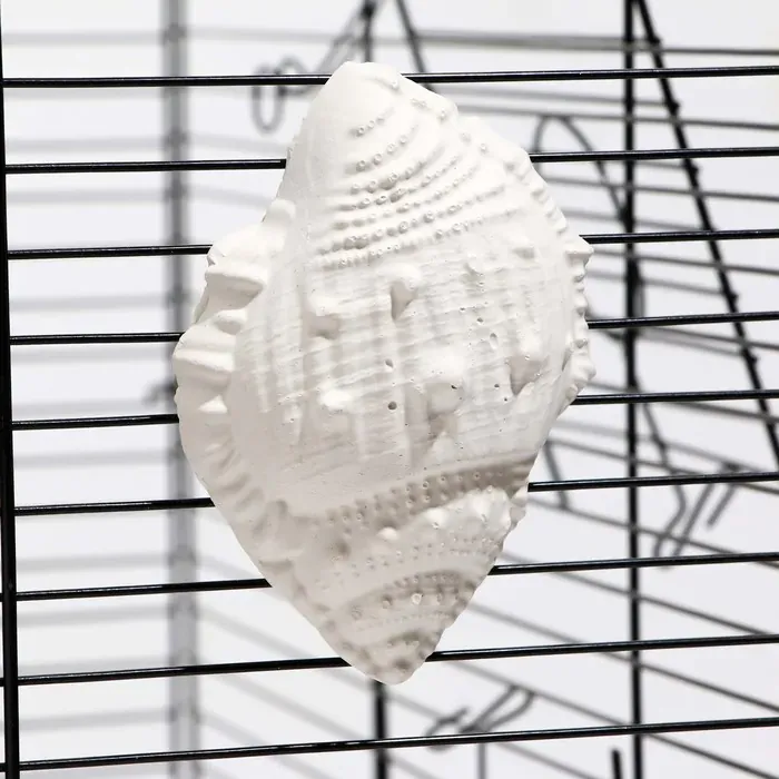 Пижон Минеральный камень для птиц ракушка с углем