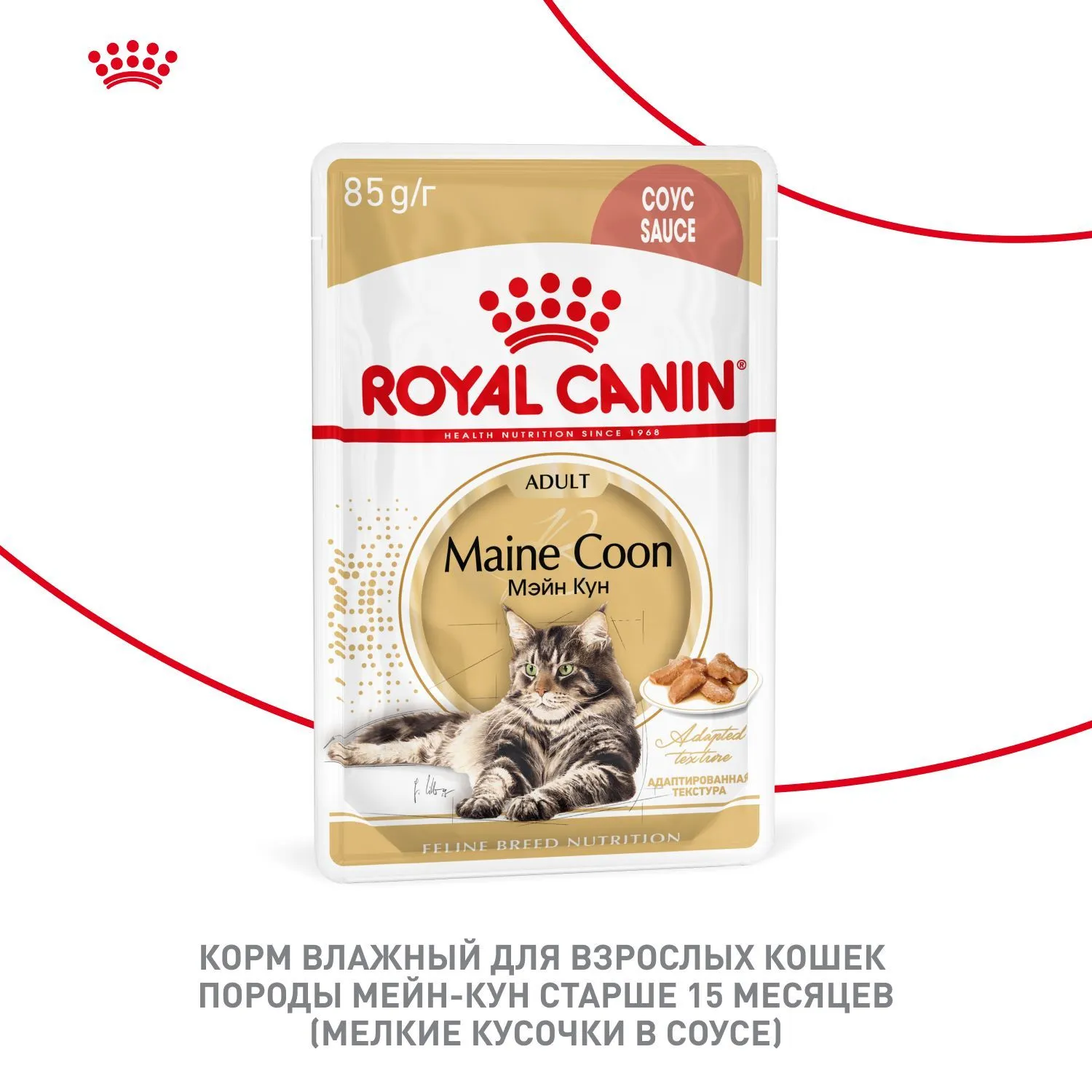 Royal Canin Maine Coon Adult (соус)