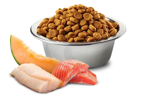 Farmina N&D Ocean GF Adult Maxi Giant (Лосось, треска, дыня)