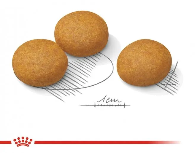 Корм Royal Canin Maxi Dermacomfort для собак