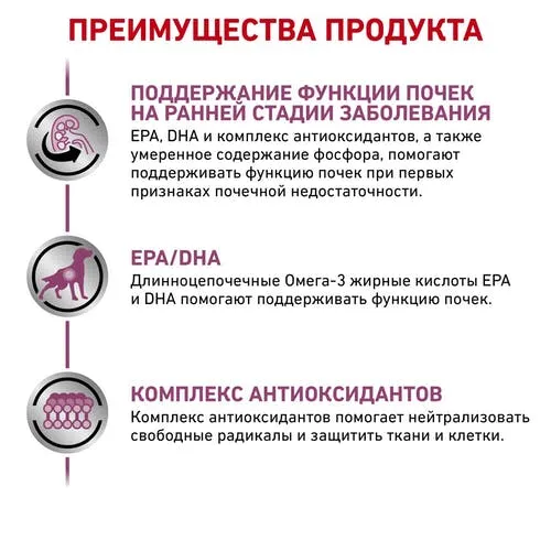 Royal Canin Early Renal Dog