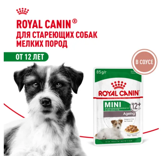 Royal Canin Ageing Mini 12+ (в соусе)