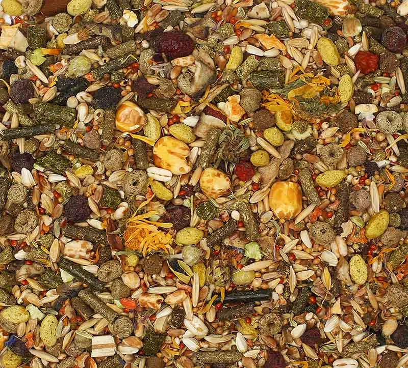 БОСПА Премиум Корм для дегу