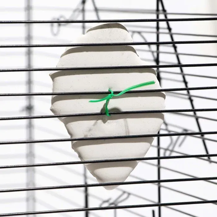 Пижон Минеральный камень для птиц ракушка с углем