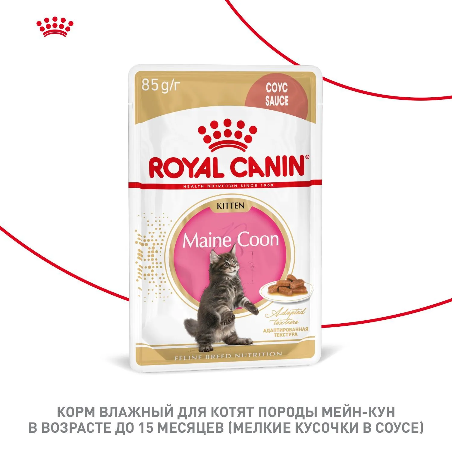 Royal Canin Maine Coon Kitten (соус)