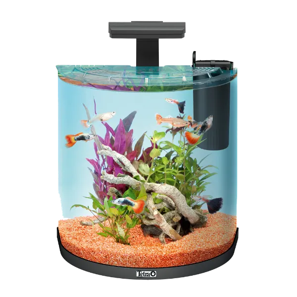 Tetra Аквариум "AquaArt Explorer LED Goldfish"