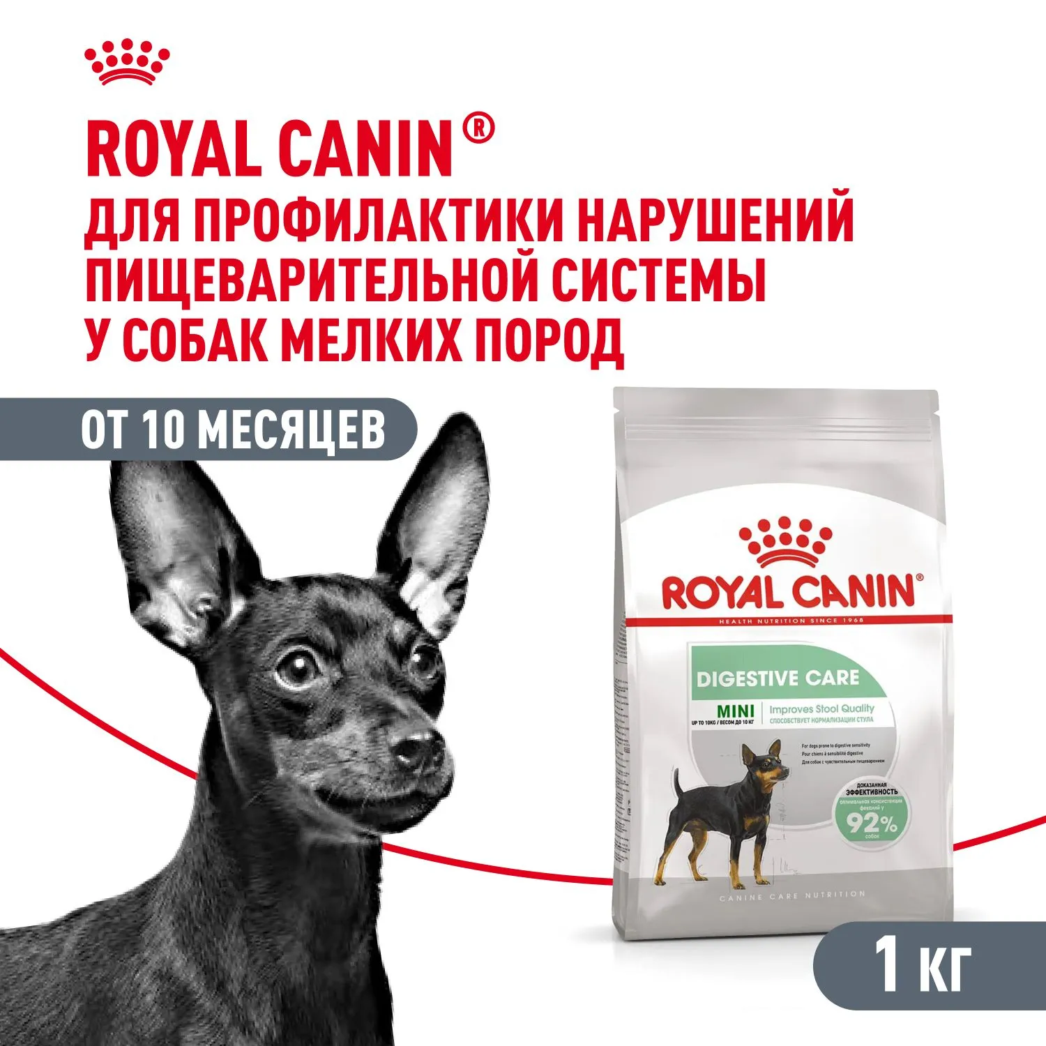 Корм Royal Canin Mini Digestive Care для собак