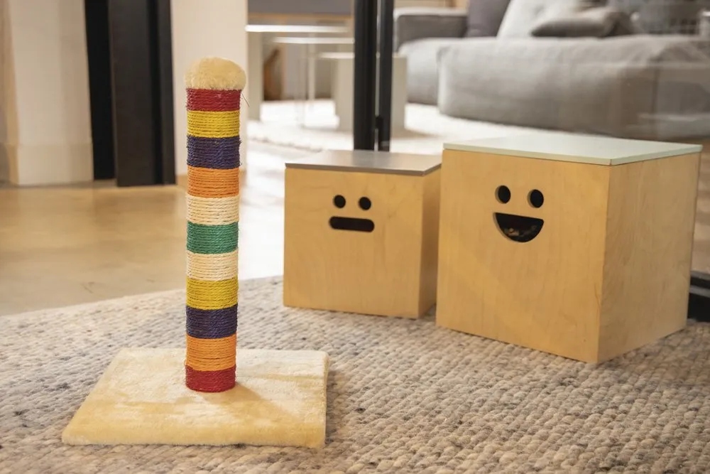 Beeztees Когтеточка-столбик Anja цветная