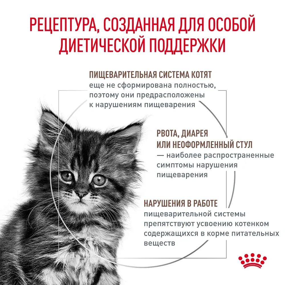 Royal Canin Gastrointestinal Kitten