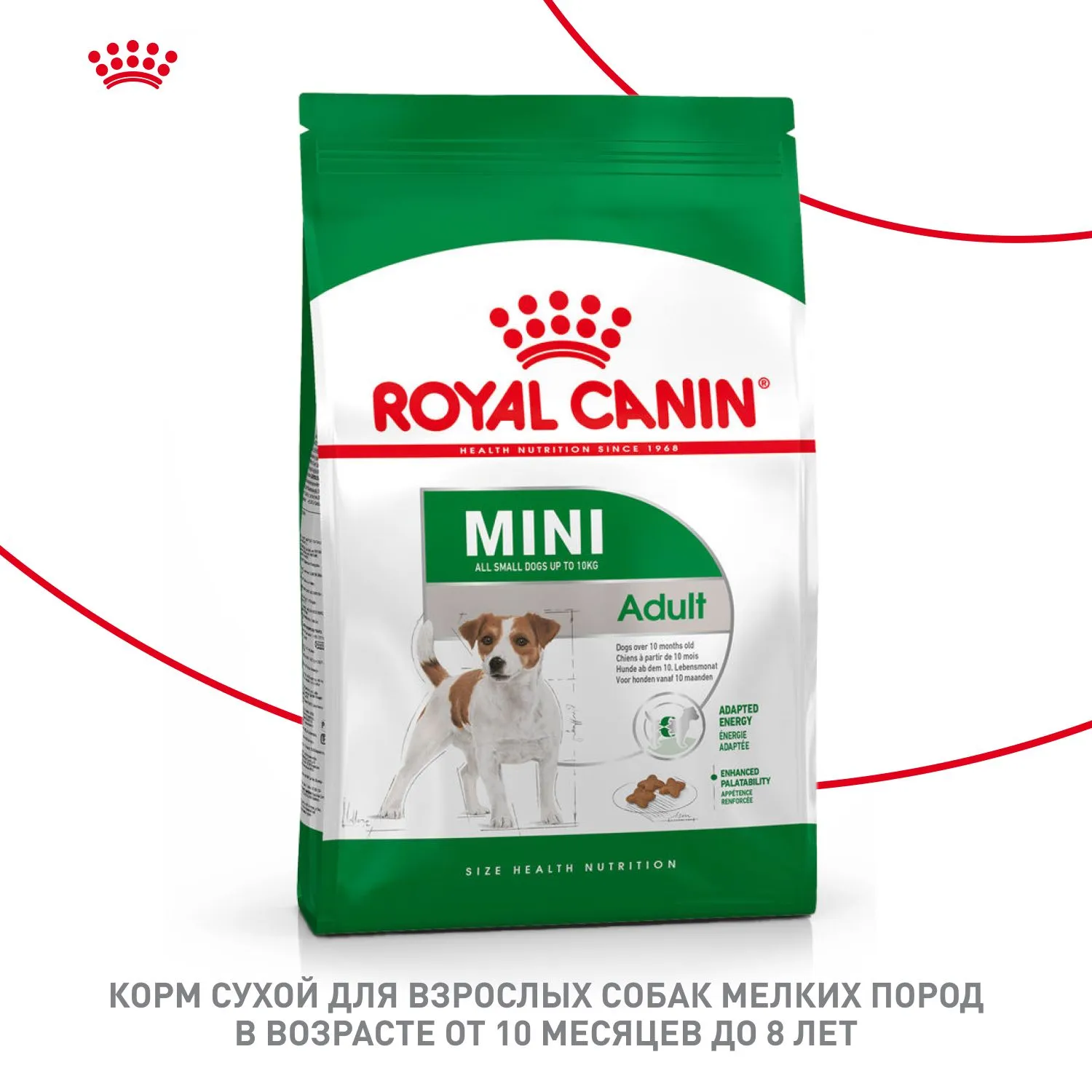 Корм Royal Canin Mini Adult для собак