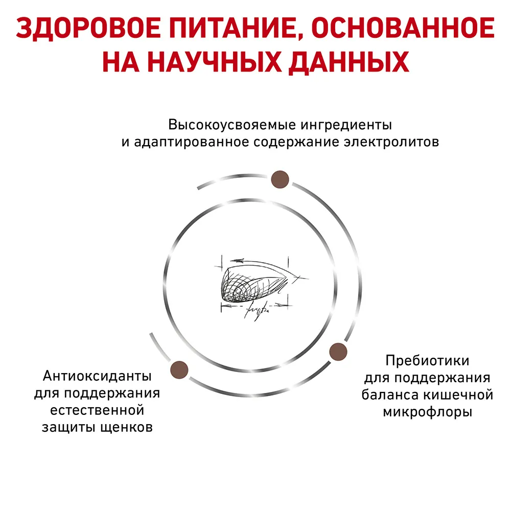 Royal Canin Gastrointestinal Puppy